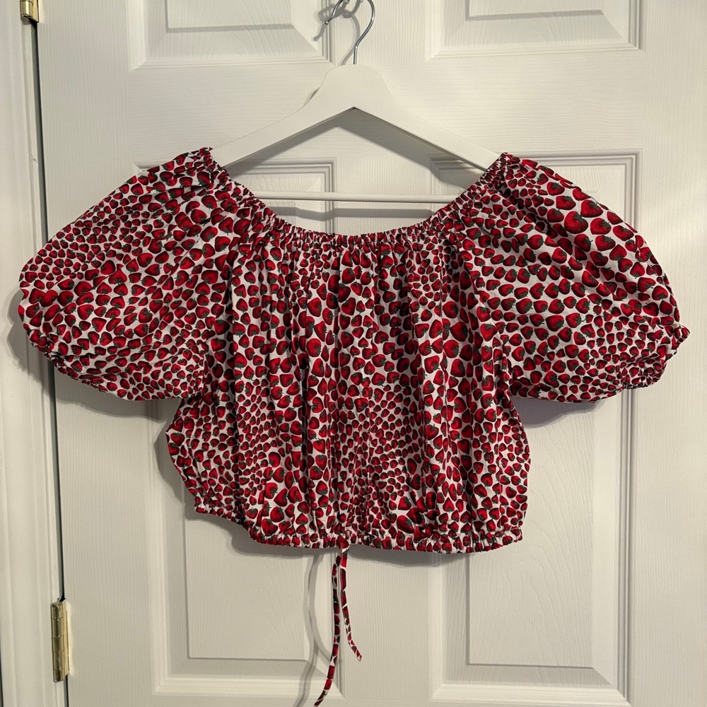 J. Crew Red and White Patterned Crop Top